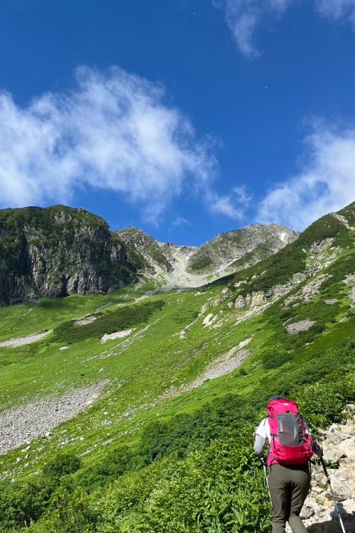 森林限界を超えると、高山の景色が広がる