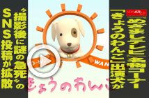 【動画】『めざましテレビ』名物コーナー「きょうのわんこ」出演犬が“撮影後に謎の急死”のSNS投稿が拡散