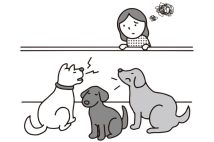 「隣家の犬の鳴き声や悪臭に困っています…」どこに相談すればよいのか？弁護士が解説