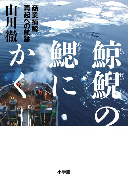 タイトルは絶体絶命を意味する慣用句。復活した日本捕鯨文化の頼もしい未来