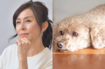 「動物環境・福祉協会Eva」の代表理事で俳優の杉本彩（HPより）