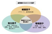 【糖尿病を悪化させる歯周病】寝酒をしてそのまま眠ると歯周病進行の原因に　重要なのは、歯垢の除去と毎日の歯磨き【医師が解説】