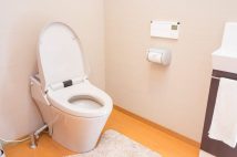 「えっ？流さないの？」自宅のトイレを貸して驚いた“他人のトイレの慣習”　「床に使用済み生理用品」「漫画だけじゃなくスマホスタンドも」…常識外れはどちらなのか