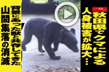 【動画】秋田県でクマによる人身被害が拡大…背景にあった獣と共存してきた山間集落の消滅