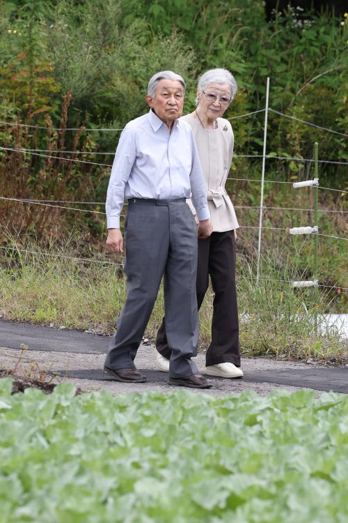 おふたりで手をつないで歩かれる姿を見られる日も近いだろう（2024年8月、長野県軽井沢町。撮影／JMPA）