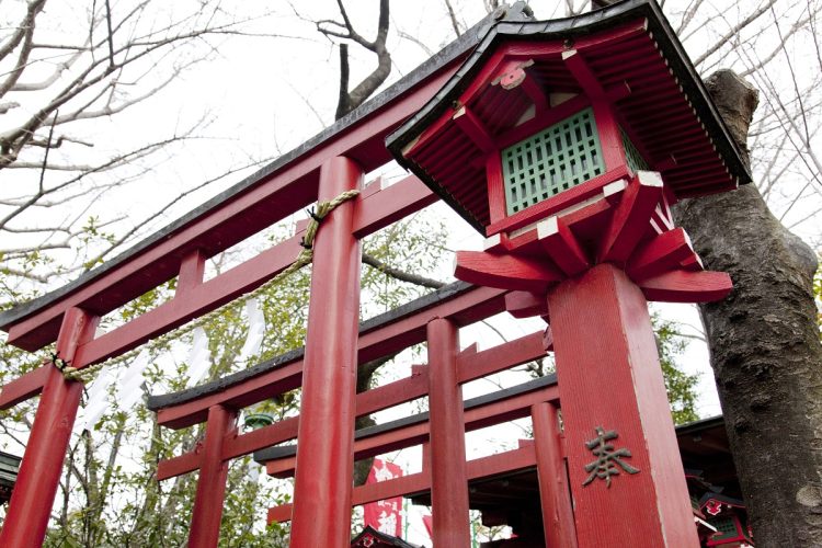 鳥居の前で「お参り」について説明を始めた（写真提供／イメージマート）