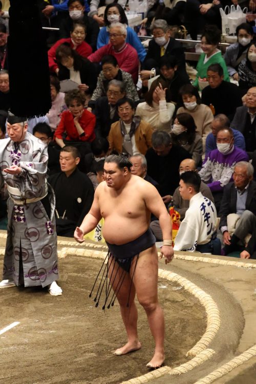 綱取りが懸かる豊昇龍の取組を見守る着物美人