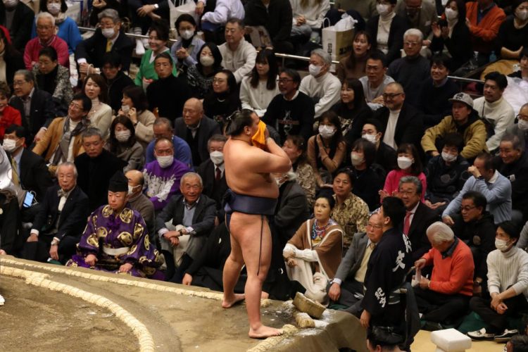 緑の着物で観戦する「溜席の着物美人」