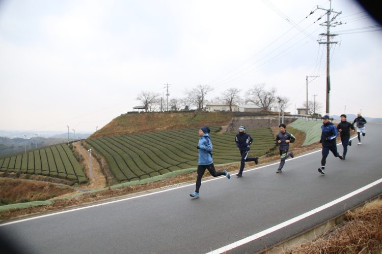 午前中に行われる茶畑ランニング