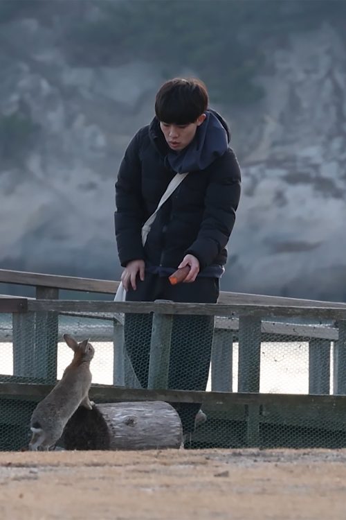 にんじんでウサギを誘う堀田陸容疑者（写真提供／うさぎ写真家uta）