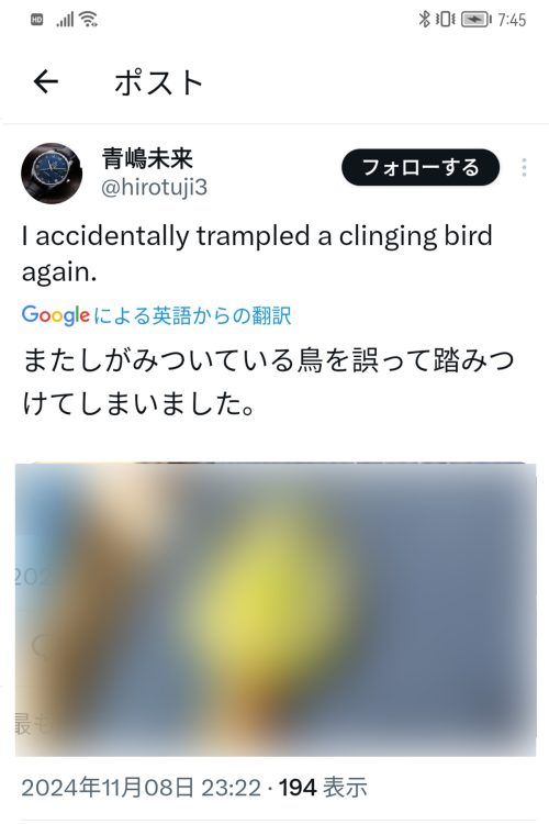 ハト以外の鳥の投稿も