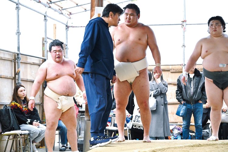 立浪親方は「叔父さんと比べられるのは仕方がないが、それをバネに頑張ればいいんじゃないか」と見守る