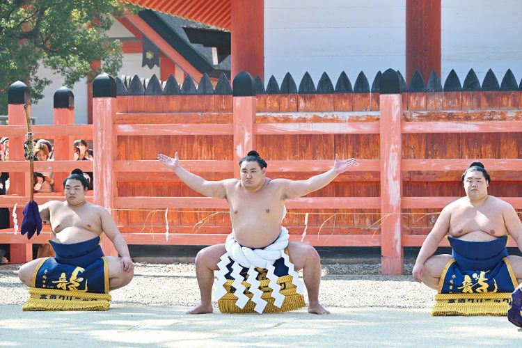 土俵入りは叔父の朝青龍と同じ攻めと守りの両方を兼ね備えた雲龍型。平戸海と明生を従えて堂々と披露した