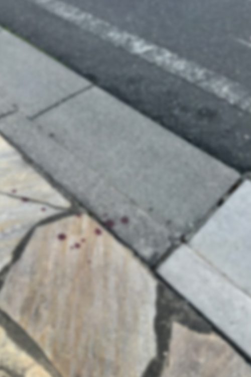 地面だけでなく花壇にも飛び散っていた