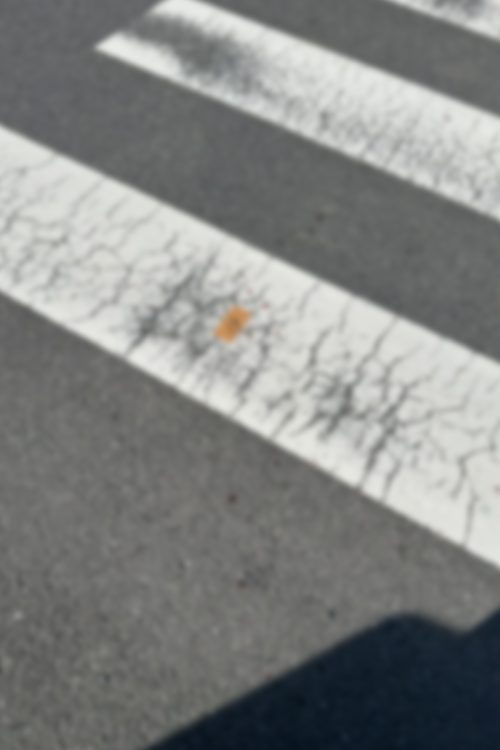 被害にあった手柄さんのものか、または確保されている男のものかは定かではない