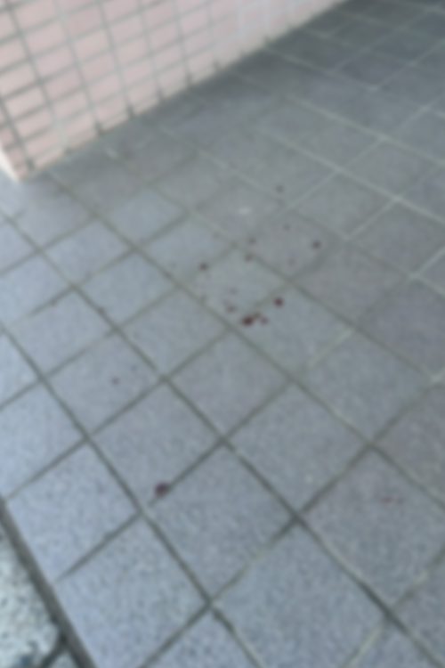真相究明が待たれる