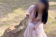 奈良公園と観光客が戯れる様子を投稿したショート動画が物議に（TikTokより、現在は削除ずみ）