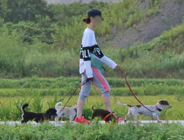 逃した責任で激ヤセ 坂上忍の同居女性 愛犬を散歩する写真5枚 Newsポストセブン Part 3